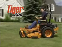 Tiger Cub